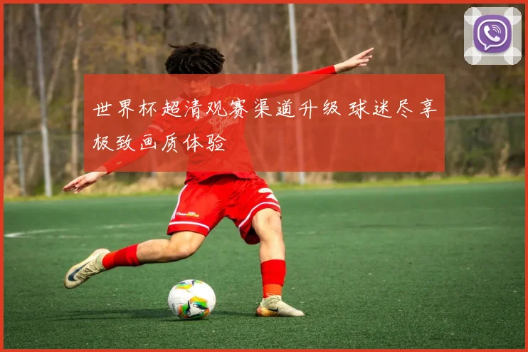 世界杯超清观赛渠道升级 球迷尽享极致画质体验