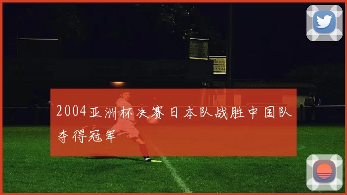 2004亚洲杯决赛日本队战胜中国队夺得冠军